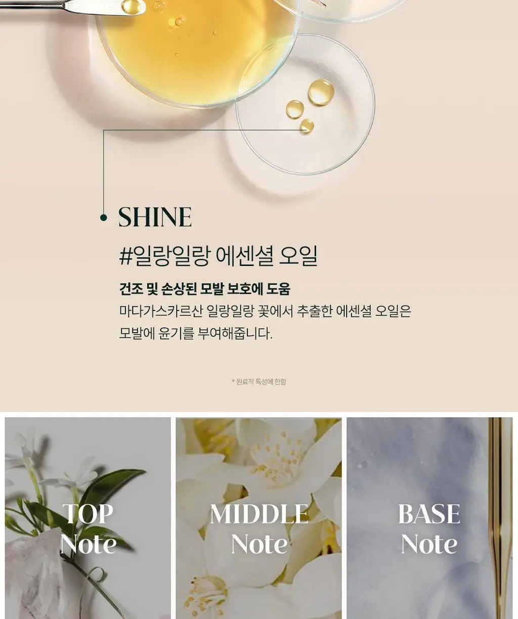 [NEW][손상 모발 케어] 르네휘테르 까리떼 프로페셔널 마스크 250ml 상세페이지 13